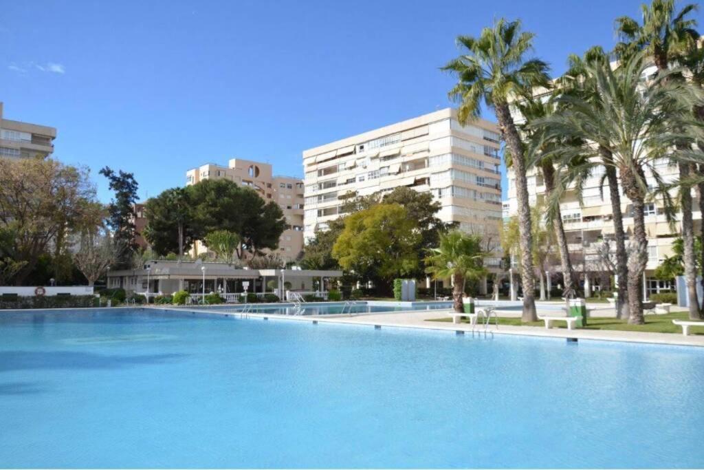 אליקאנטה Garden Apartment With Pool And Ac מראה חיצוני תמונה